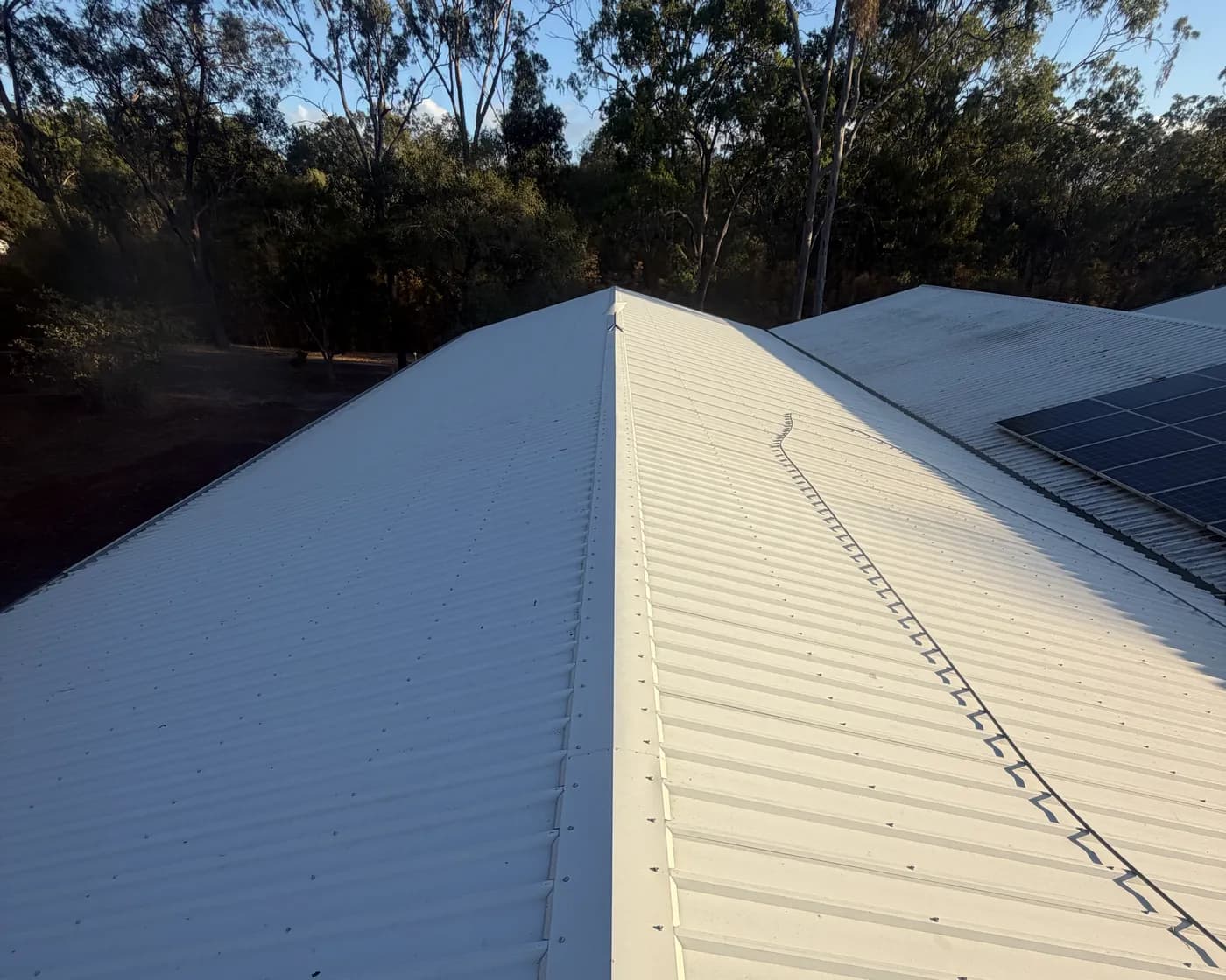 A freshly soft-washed Colorbond roof ridge near Gladstone, clean against the gum trees